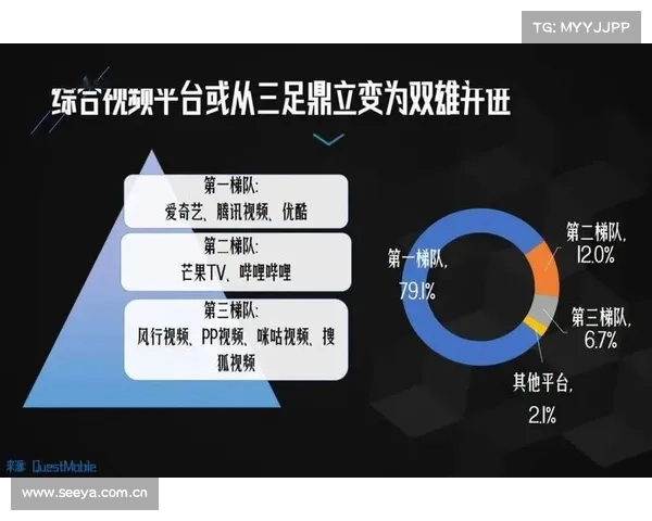 “爱腾优芒”的2024:狂卷爆款,但解决不了所有问题 “爱腾优芒”的2024:狂卷爆款,但解决不了所有问题